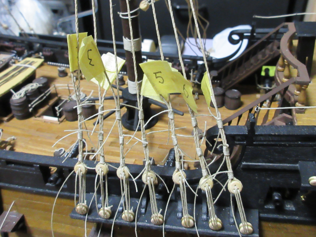 コンテンツ画像