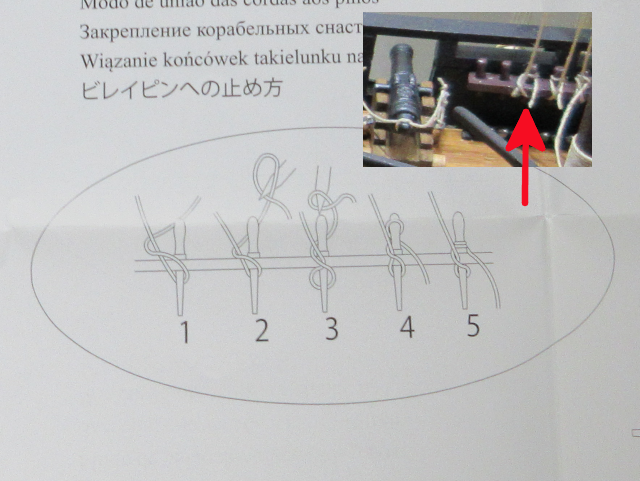 コンテンツ画像